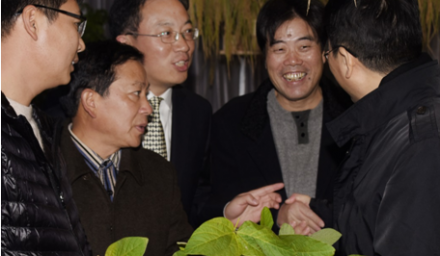 杭州种业集团喜摘鲜食大豆新品种‘浙鲜9号’生产经营权