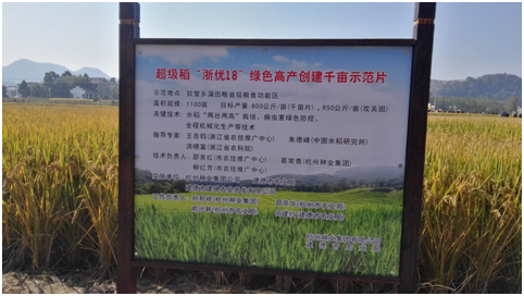 农耕文化在杭种集团水稻高产示范方舞动3.png