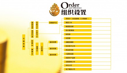 组织结构
