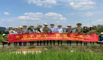 支部手拉手、发展心连心  市国资委与杭州种业集团开展基层党建共建活动
