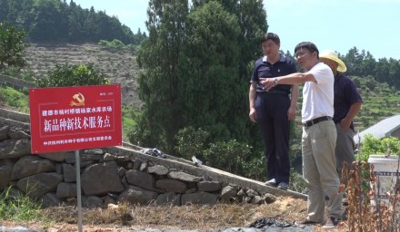 市国资系统党史学习教育巡回指导组深入杭州种业集团“办实事”一线指导