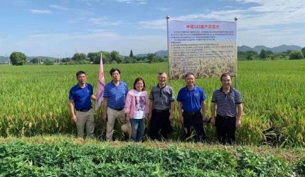 种业振兴在行动：杭州种业集团超级稻品种‘中组143’再夺早稻高产