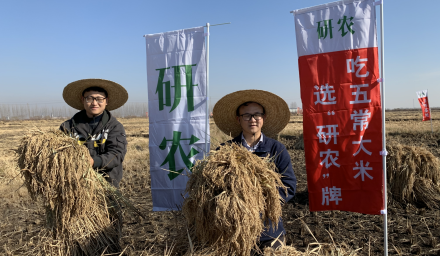 自有基地新米上市：“五好”基地孕育研农大米