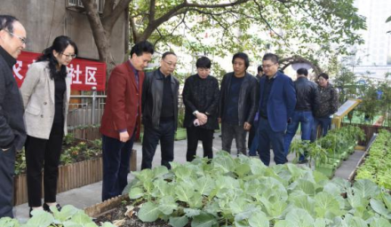 未来社区城市微农项目观摩研讨会 取得圆满成功