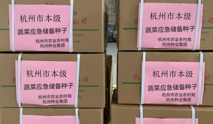 控疫情保生产 ︳杭州种业集团聚焦打赢疫情防控战全力保障供种生产