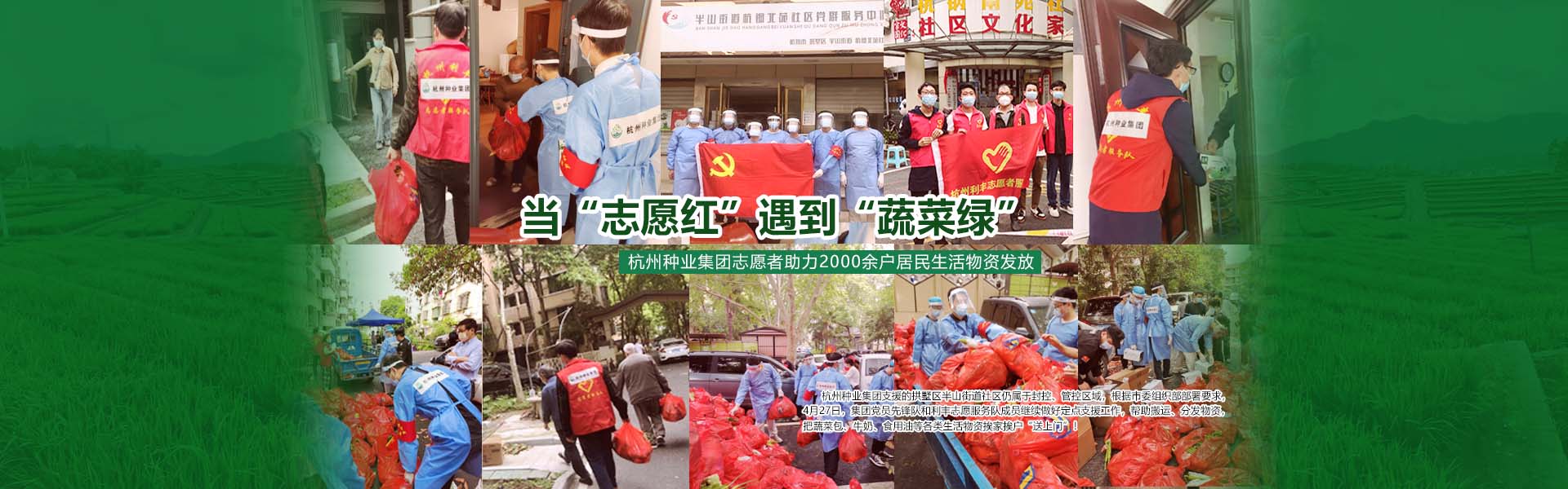 当“志愿红”遇到“蔬菜绿” ——杭州种业集团志愿者助力2000余户居民生活物资发放