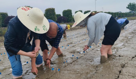 人才强企 | 杭州种业集团高级农艺师蒋根水被聘任为杭州市职业技能带头人