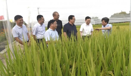 杭州市人大常委会党组副书记、副主任戚哮虎一行赴杭州种业集团调研指导